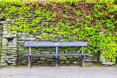 Modern bench against leaf wall in Sedbergh Yorkshire UK Stock Photos