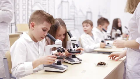 Modern biology lesson in elementary school. Stock Footage 87166752