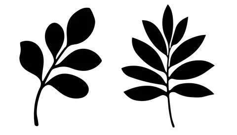 Modern Black and White Leaf Silhouettes vector art on white background イラスト素材