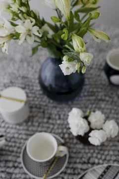 Modern black patterned tableware tea set Stock Photos