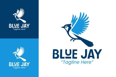 Modern Blue Jay Logo Designs for Social Media and Branding Stock Illustration