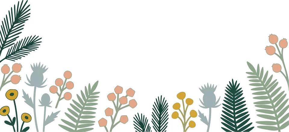 Modern botanical border vector template with minimalist fern fronds and pine Stock Illustration