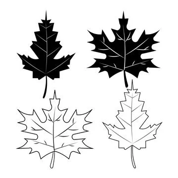 Modern Botanical Leaf Icons Simple Nature Elements Pack Stock Illustration