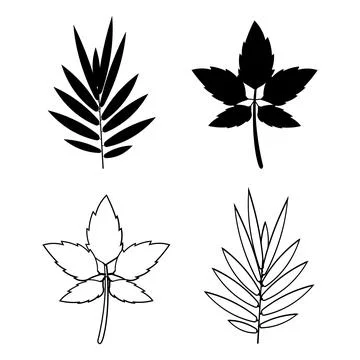 Modern Botanical Leaf Icons Simple Nature Elements Pack Stock Illustration