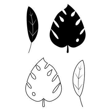Modern Botanical Leaf Icons Simple Nature Elements Pack Stock Illustration