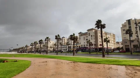 Modern boulevard and palm trees in Rabat, Morocco – January 4, 2026 스톡 동영상 334055904