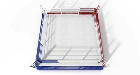 Modern boxing isolated Stock Illustration