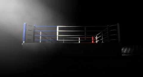Modern boxing single light Illustrazione stock