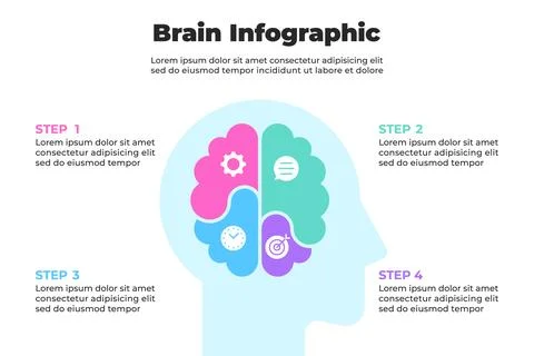 Modern Brain Infographic with Step by Step Cognitive Process Inside Human H.. Illustrazione stock
