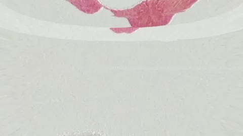 Modern Brands Using Retro Animation Right Stock Footage 306636433