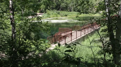 A modern bridge across a forested pond Stock Footage 40347567
