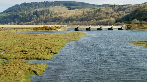 Modern bridge over river Stock Footage 119084393