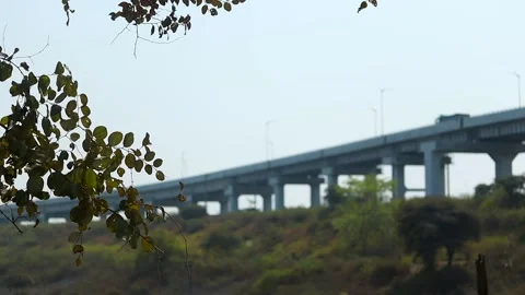 Modern bridge over river valley seen through tree branches Stock Footage 330707827