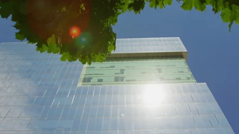 Modern building behind green tree branches Vidéo 217999809