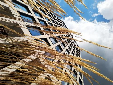 Modern building, bottom view. multi-storey office building, skyscraper. glass Stock Photos