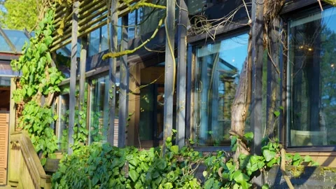 A modern building covered by roots close up. Steadicam gimbal shot. Stock Footage 152439997