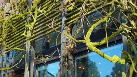 A modern building covered by roots close up. Steadicam gimbal shot. Stock Footage 152440128