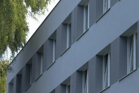 A modern building facade featuring windows surrounded by greenery and nature 库存照片