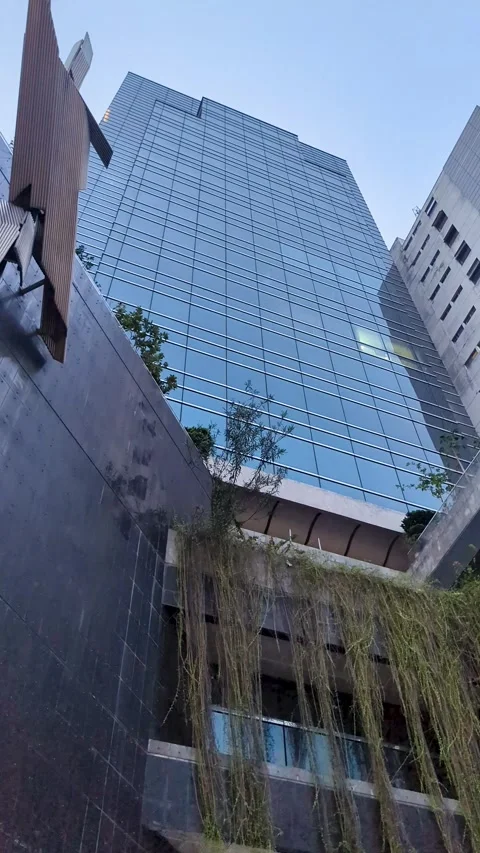 Modern building facade with hanging green vines and glass skyscraper backgrou Video stock 335654048