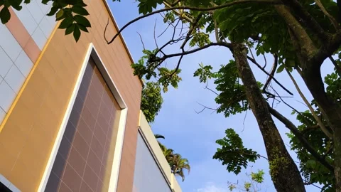 Modern Building Facade Surrounded by Green Trees Under a Clear Blue Sky Stock Footage 309840758