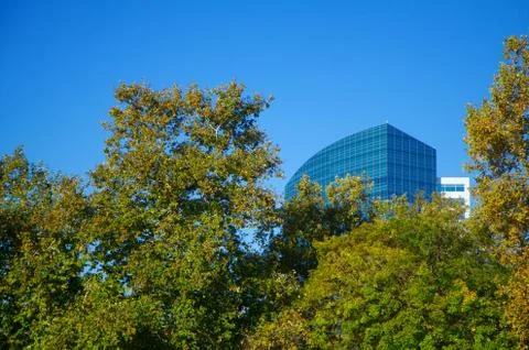 Modern building framed by trees Stock Photos
