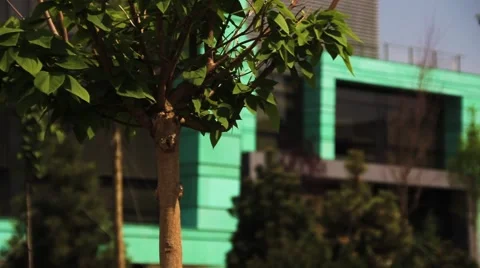 Modern Building outside Stockbeeldmateriaal 65805059