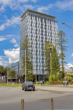 Modern Building Surrounded by Palm Trees in Perth, Australia 写真素材