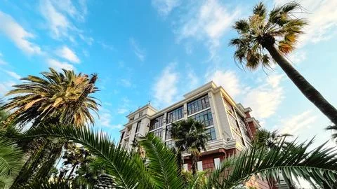 Modern building surrounded by palm trees in Sochi, Russia Stock Photos