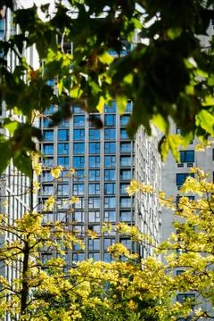 Modern building through the branches Stock Photos