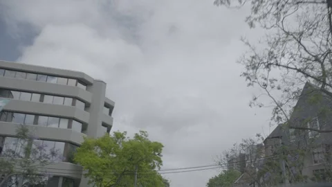 Modern Buildings and Trees Along Urban Road in Sydney New South Wales Australia Stock Footage 341677785