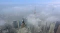 The modern buildings in Shanghai China viewed from skyscraper of Pudong. 4k or 4k+ Resolution