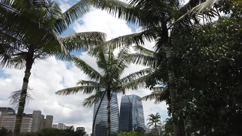 Modern Buildings View with big trees at Parque do Povo (People Park), São Paulo Video stock 166114574