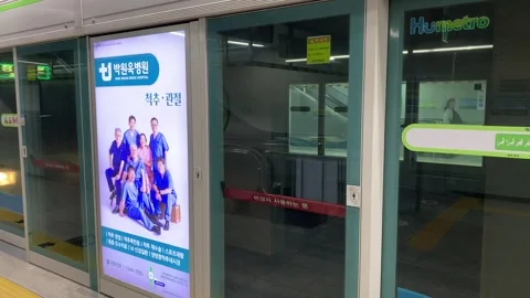 Modern Busan underground train arrives at metro, subway station. South Korea Stock Footage 306573638
