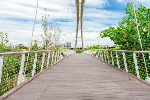 Modern Cable Bridge with Wooden Deck and Railings Stock Photos