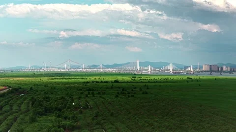 Modern cable-stayed bridge on dongting lake,yueyang,China Stock Footage 325336262