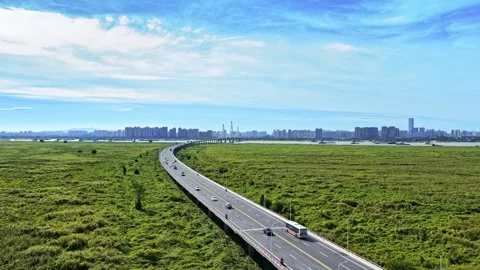 Modern cable-stayed bridge on dongting lake,yueyang,China Vídeo Stock 325337905