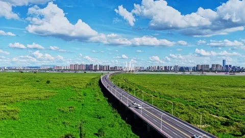 Modern cable-stayed bridge on dongting lake,yueyang,China Stock Footage 325344633