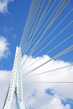 Modern cable-stayed bridge stands tall against a cloudy sky in an urban des.. Stock Photos