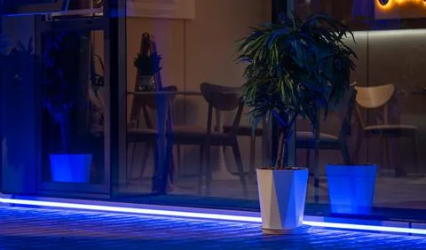 Modern Cafe Interior with Blue LED Lighting and Potted Plants at Night Stock Photos