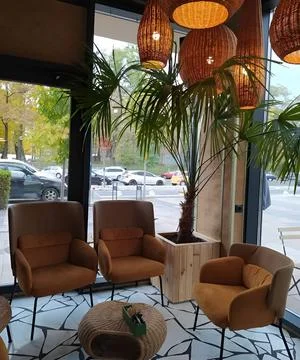 Modern Cafe Interior with Chairs Lights Palm Tree and Street View Stock Photos
