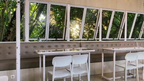 Modern Cafe Interior with Nature View and Sunlight Stock Footage 319030174