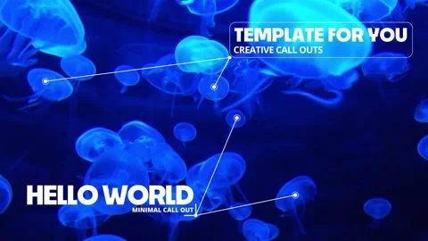 Modern Call Outs 4.0 - Digital Lines Stock After Effects