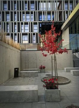 The modern campus 写真素材