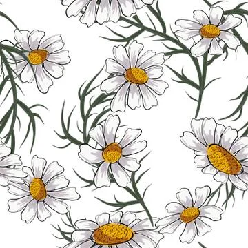 Modern card with seamless pattern with daisies for print design. White backgr Stock Illustration