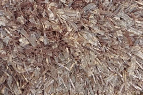 Modern carpet texture Foto stock