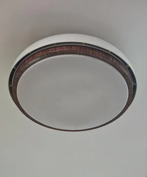 Modern circular LED ceiling lamp with wood grain decorative ring Фото