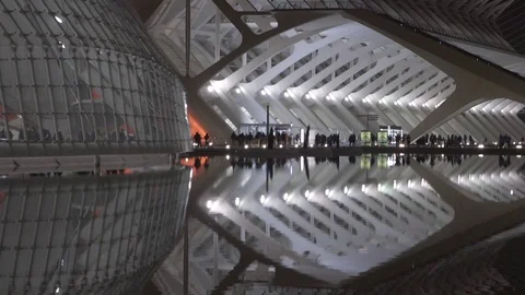 Modern City of Arts and Sciences Museum at Night - Valencia Spain Stock Footage 73281141