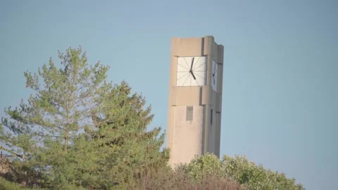 Modern Clock Tower Rising Above Trees Against Blue Sky Video stock 332689122
