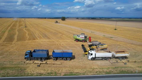 Modern combine harvesters in the wheat field unload grain truck trailers Stock Footage 167525762