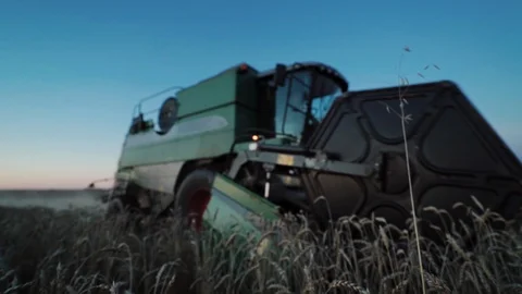 Modern combine harvesting wheat on the field in evening 库存影片 98128053